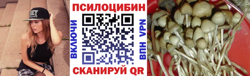 Купить закладки  Макаров  Псилоцибиновые грибы прущие грибы 